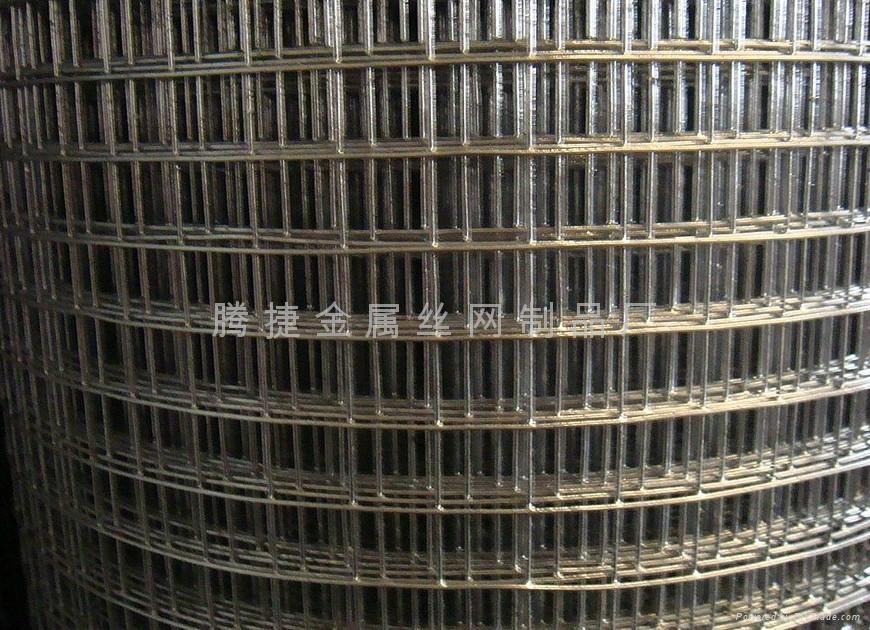 镀锌电焊钢丝网 - dx-dhw - 腾捷 (中国 河北省 生产商) - 金属丝,绳,